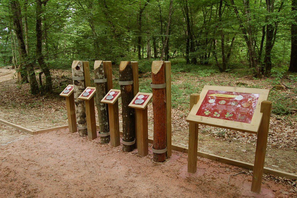 Aménagement paysager de la partie basse de la citadelle de Rodemack