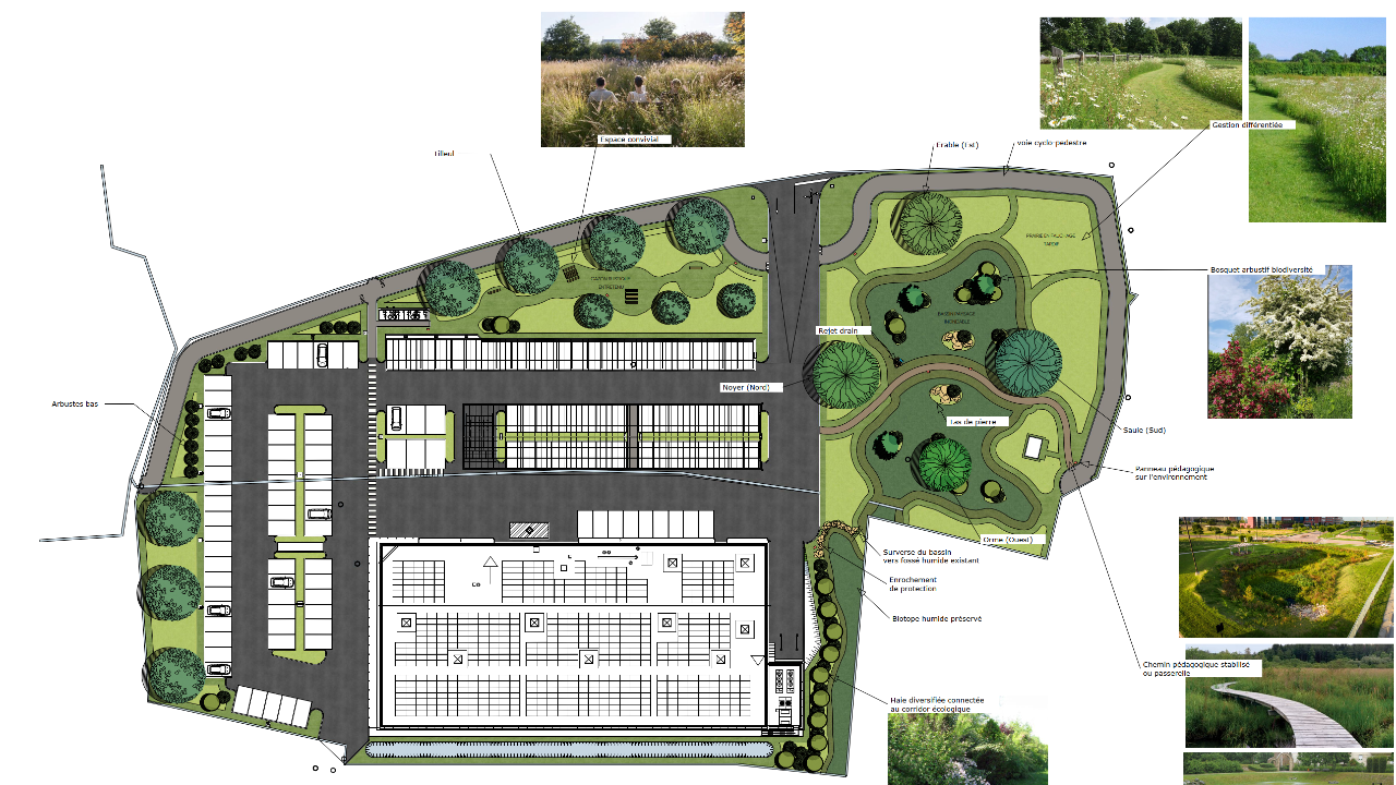 Implantation d'un magasin Lidl à Courcelles-Chaussy