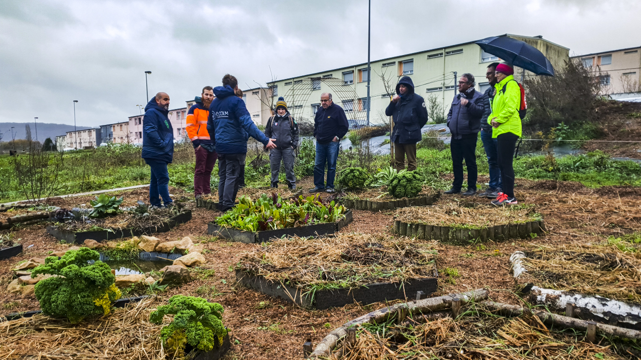 Concertation, animation, formation