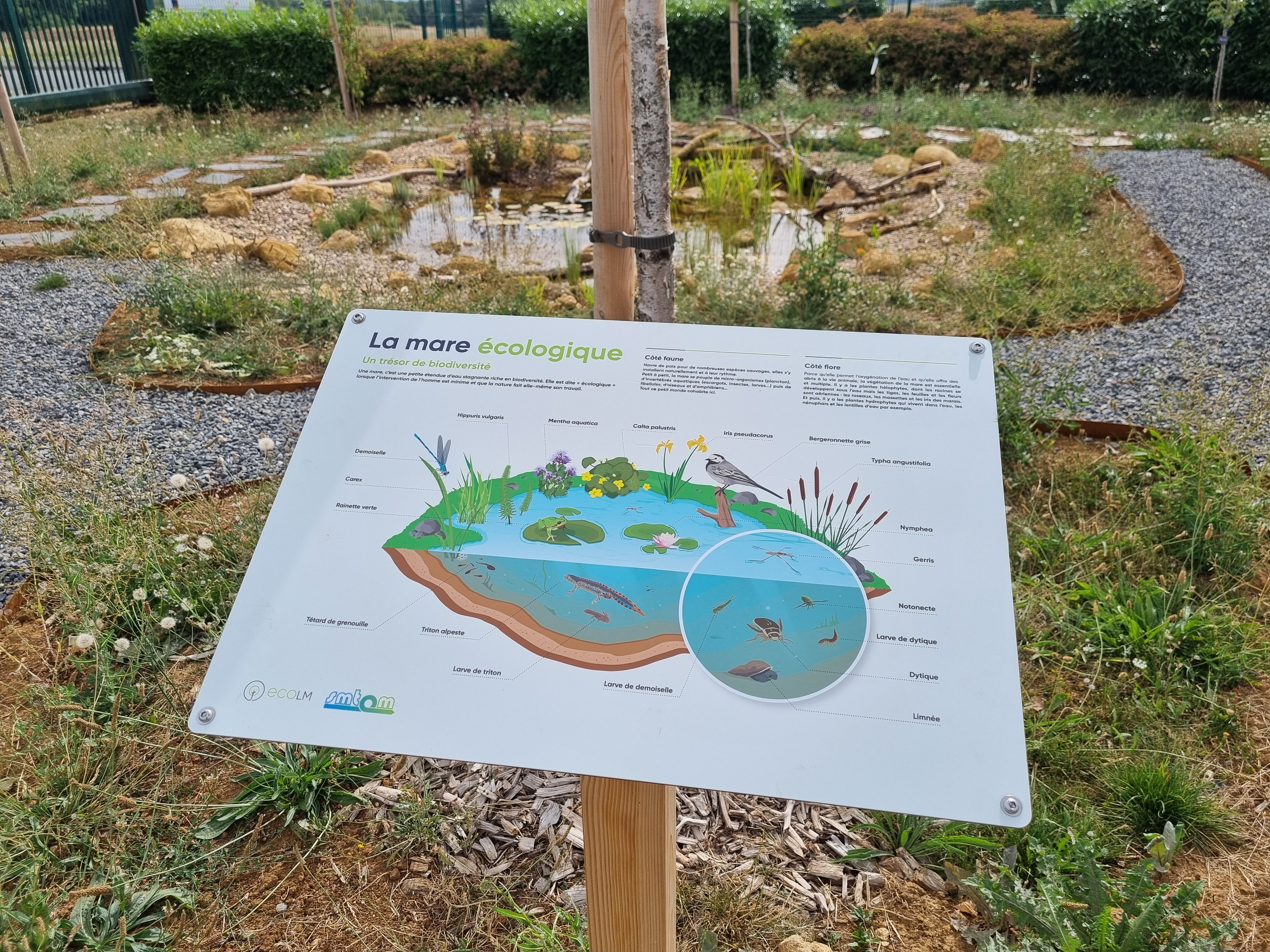 Verger pédagogique du SMTOM