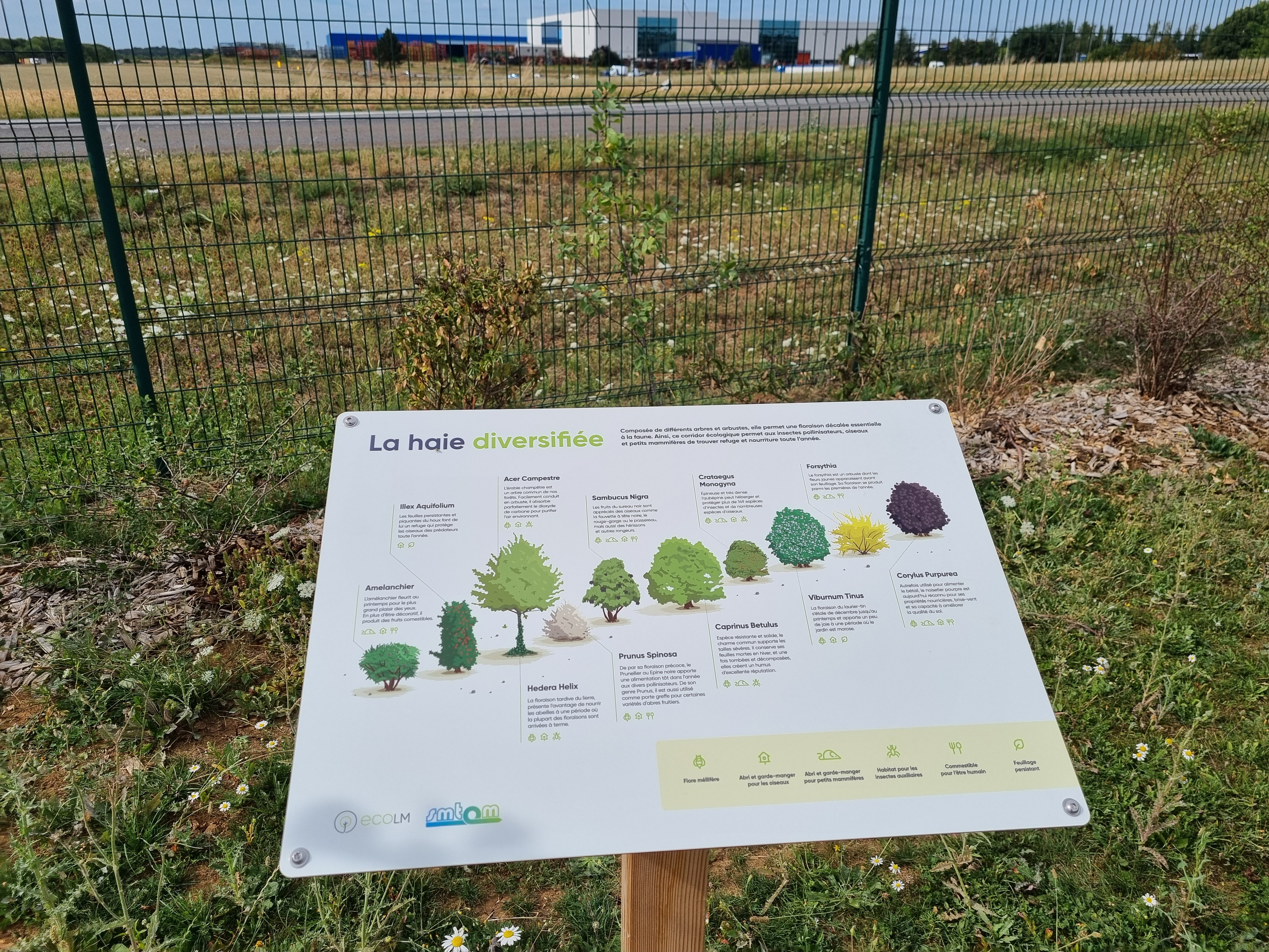 Verger pédagogique du SMTOM